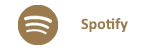 Spotify Reallionaire Records